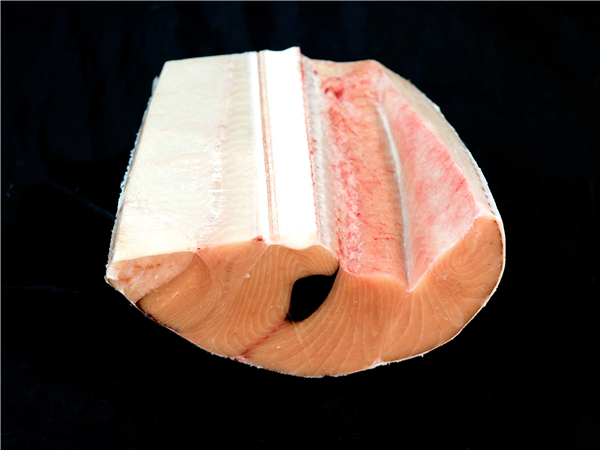 MARRAJO