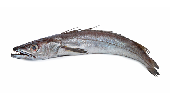 SCANFISK SEAFOOD S.L.