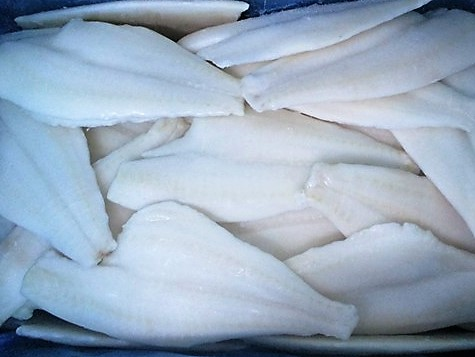 COHINO