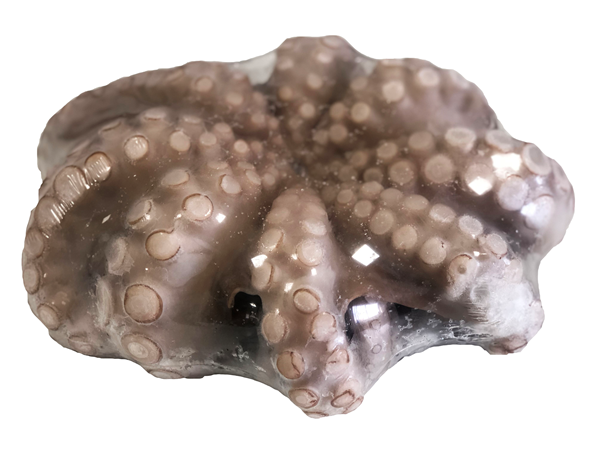 PESCAPISA