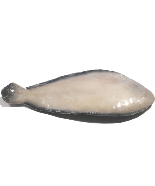 PESCAPISA