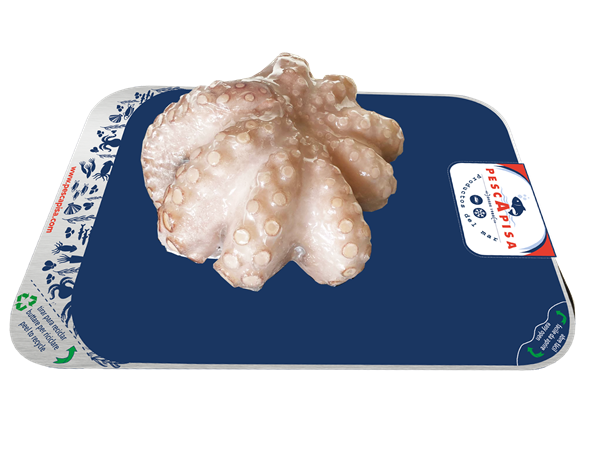 PESCAPISA
