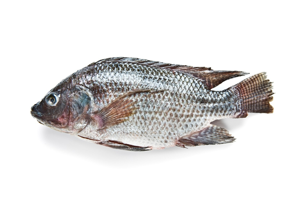 Damaco
