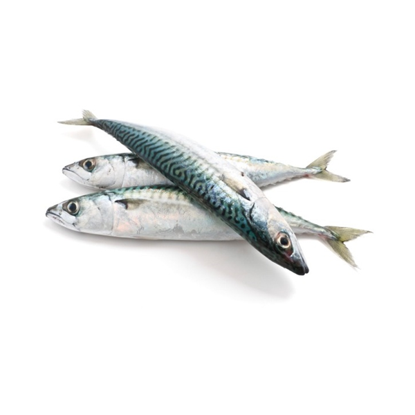 Damaco