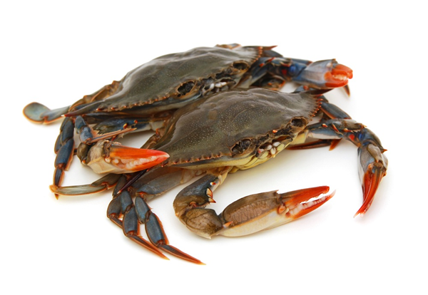 Damaco