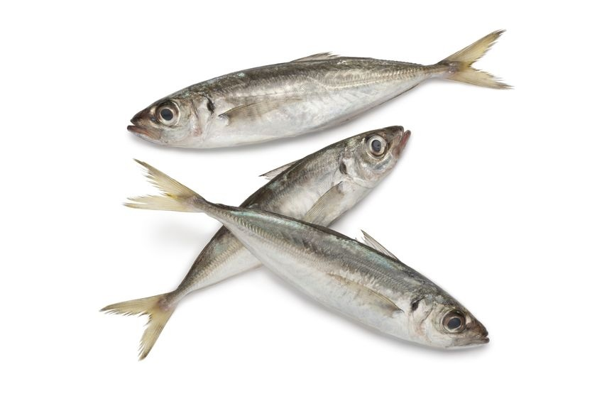 Damaco