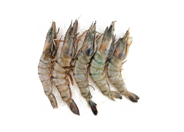 Damaco