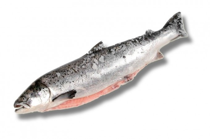 Damaco