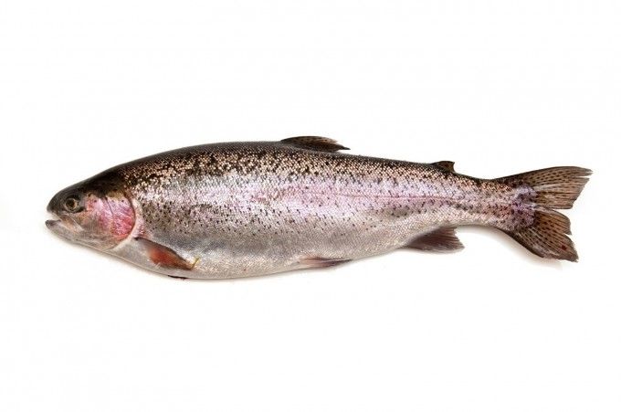 Damaco