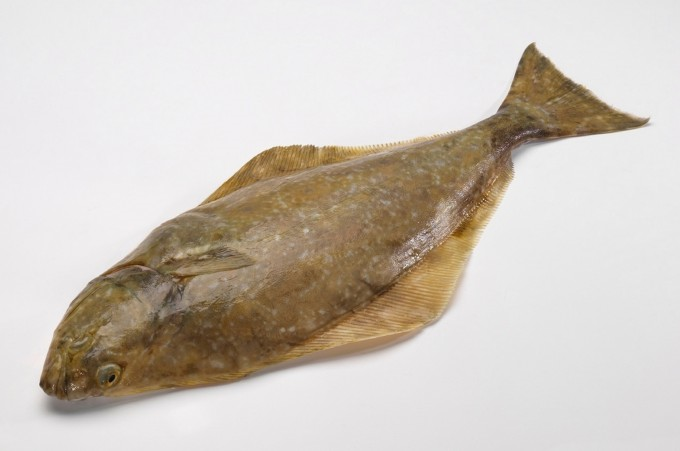 Damaco