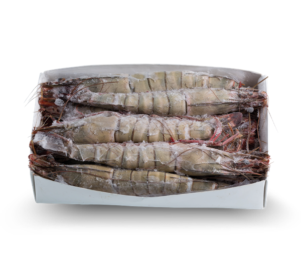 Gelpeixe