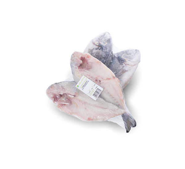 Gelpeixe